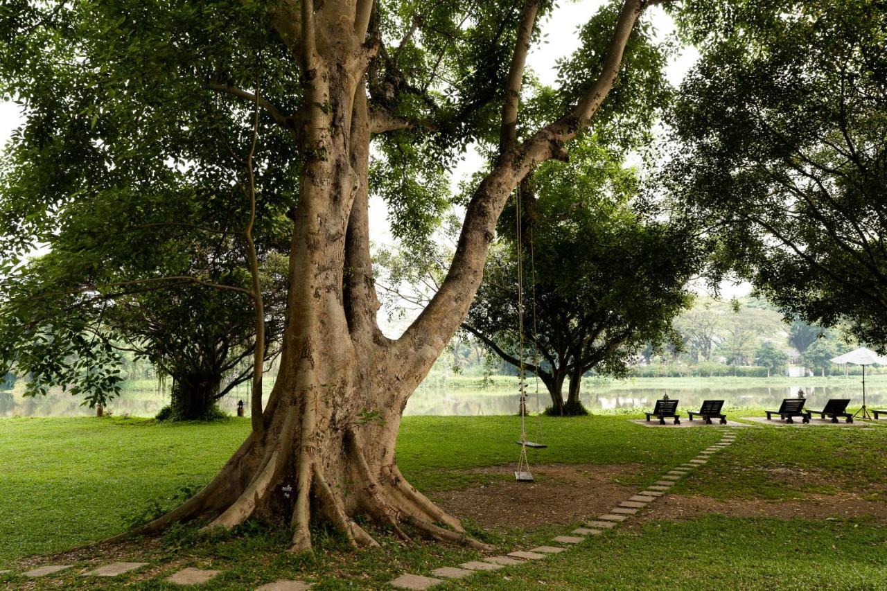 The Legend Chiang Rai Boutique River Resort & Spa Exterior foto